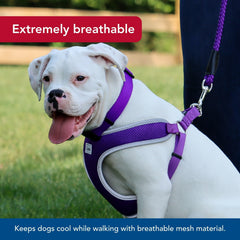 Coastal Pet Comfort Soft Wrap Harness purple close-up of adjustable strap and dual D-rings for durability