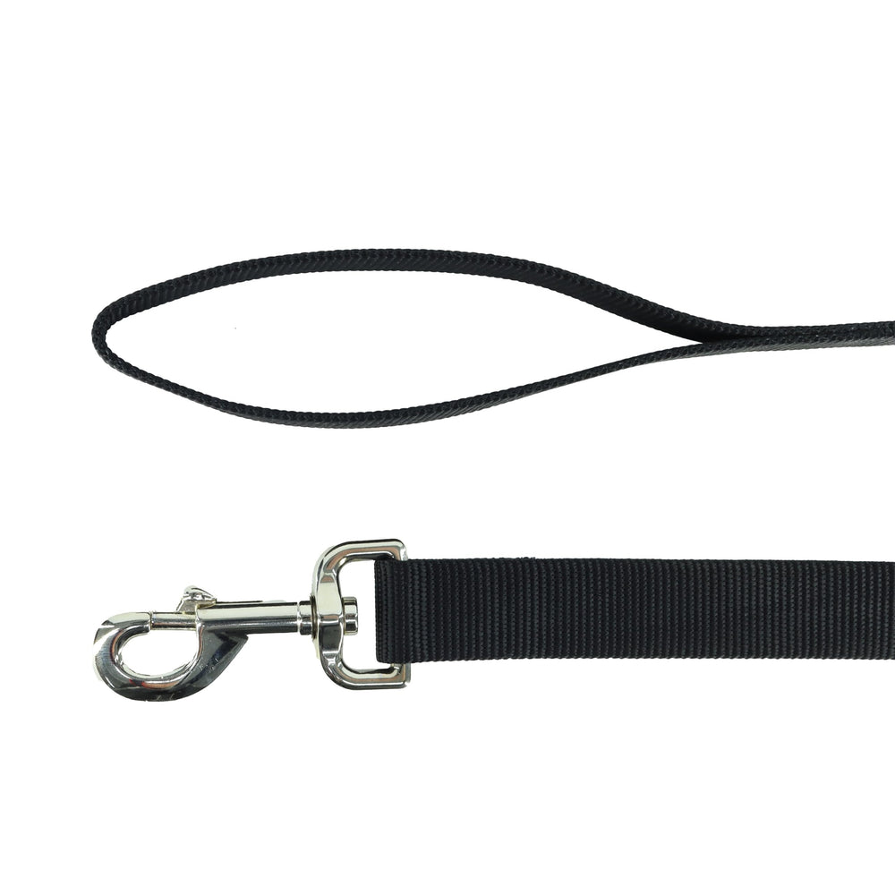 Coastal Pet correa de una capa duradera en negro para paseos diarios.