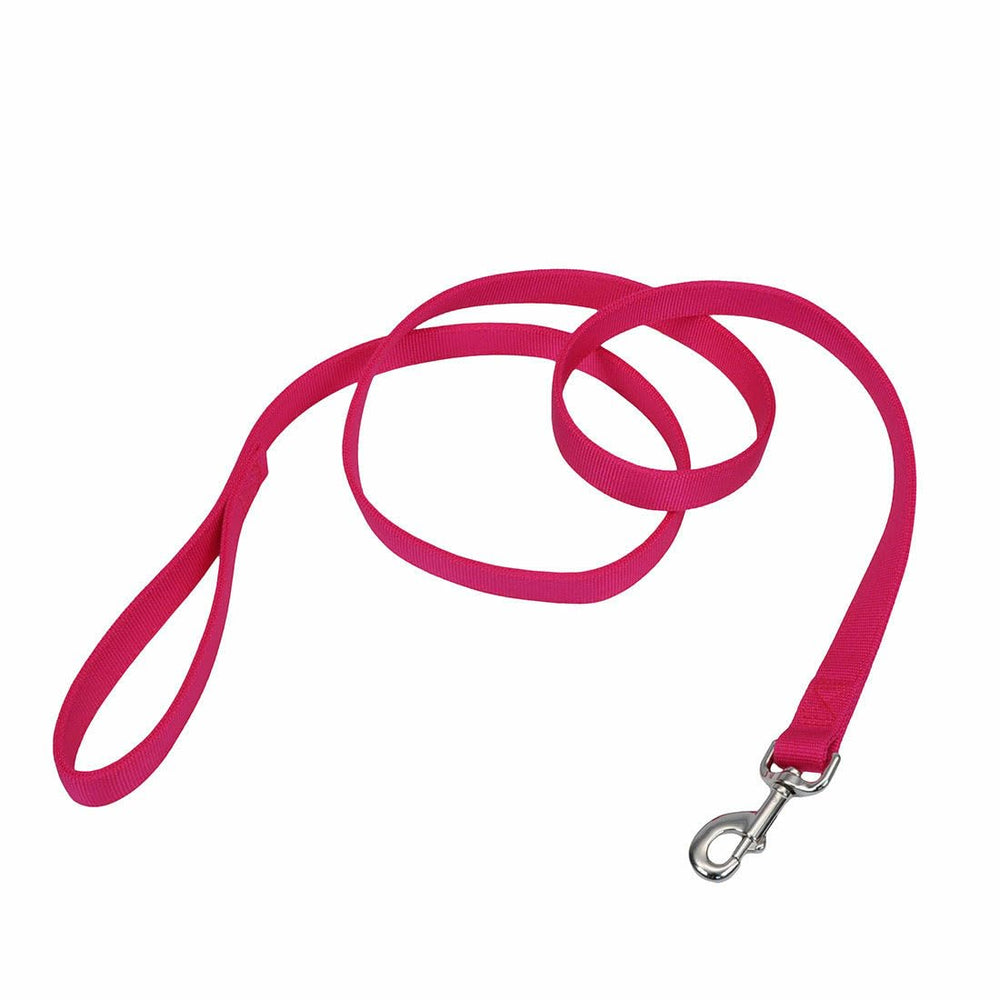 Coastal Pet double-ply leash with bolt snap attaches securely to collars for daily walks.