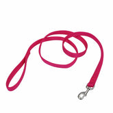 Coastal Pet double-ply leash with bolt snap attaches securely to collars for daily walks.