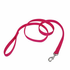 Coastal Pet double-ply leash with bolt snap attaches securely to collars for daily walks.