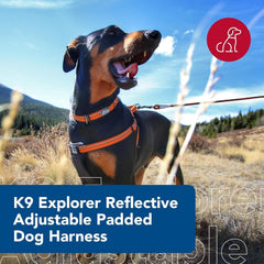 Coastal Pet K9 Explorer Berry harness plush chest pad highlights comfortable neoprene for daily wear.
