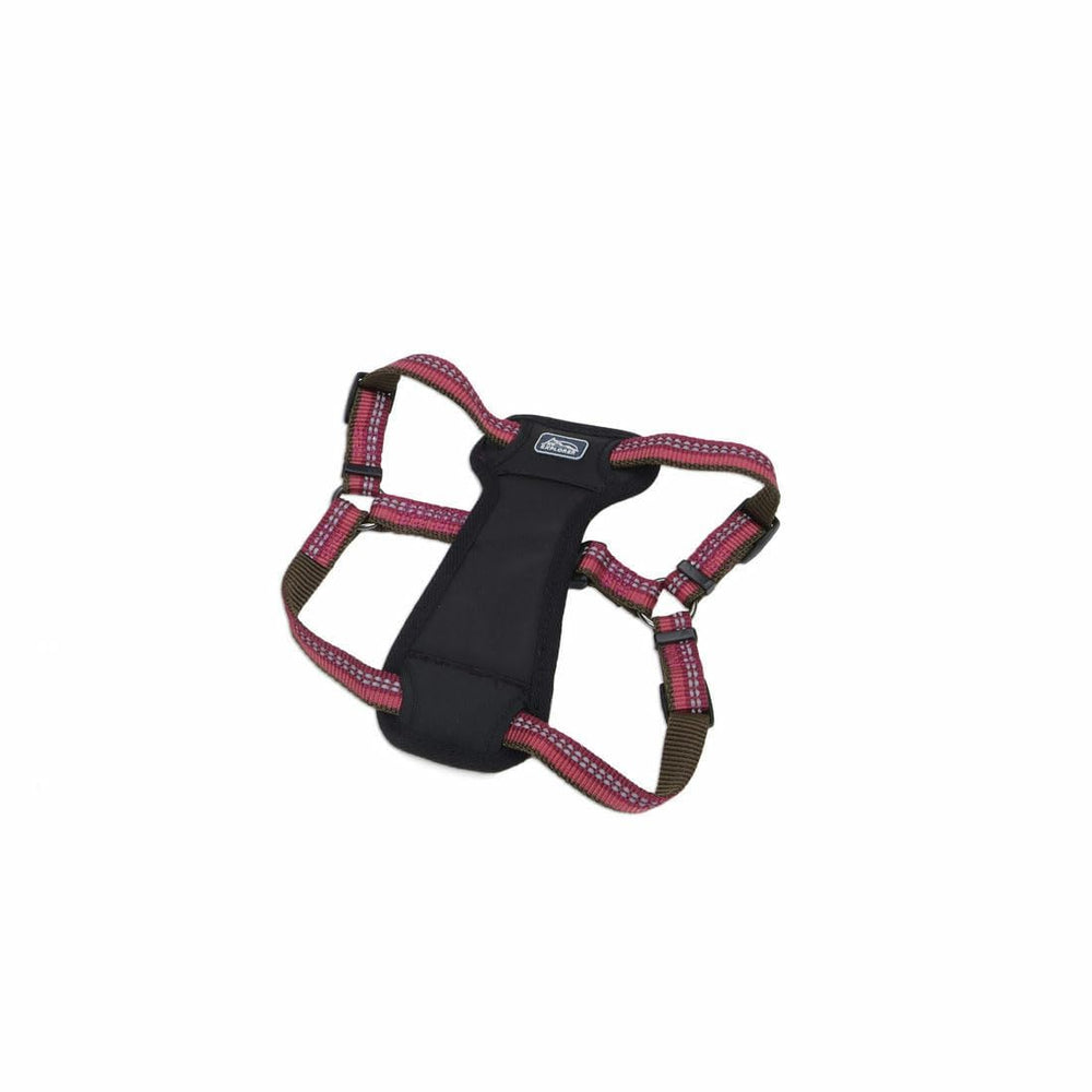 Coastal Pet K9 Explorer Berry harness close-up shows reflective material for safer evening walks.