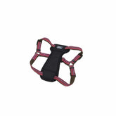 Coastal Pet K9 Explorer Berry harness close-up shows reflective material for safer evening walks.