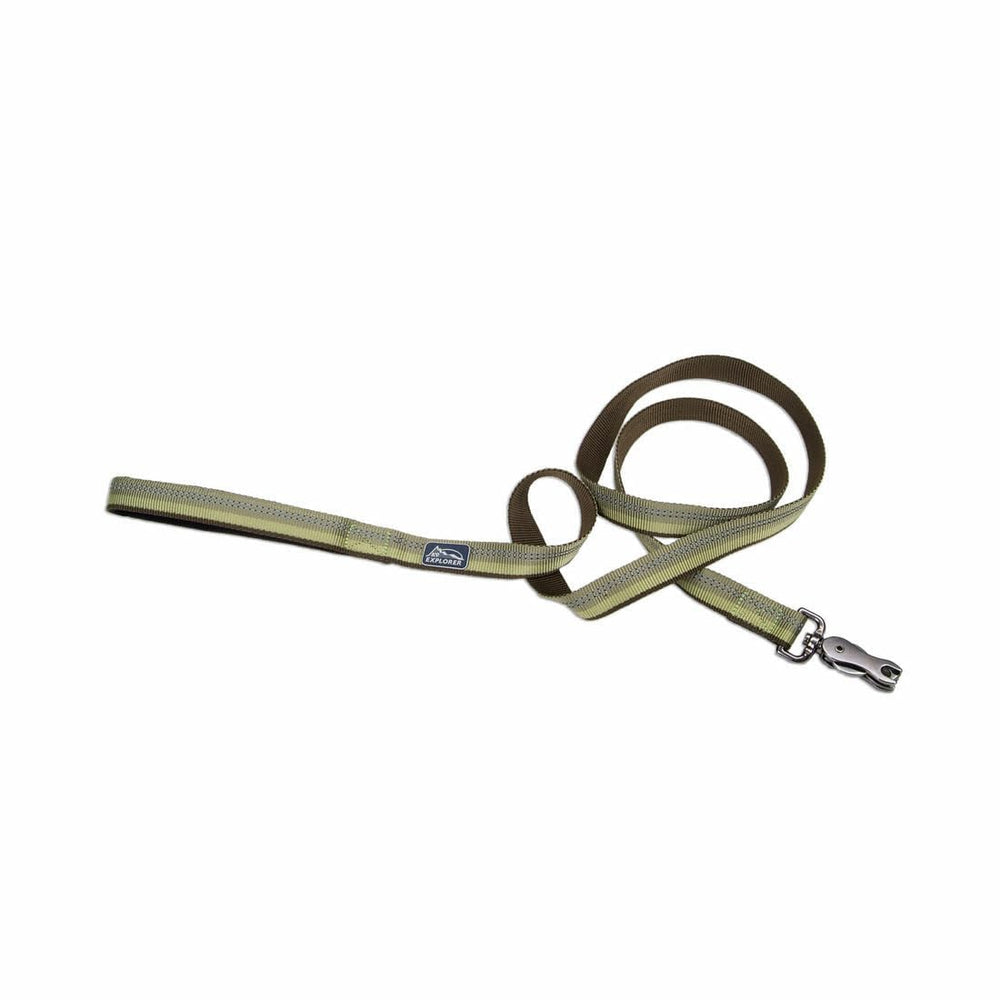 Coastal Pet K9 Explorer leash fern showing 1-inch by 6-foot size for daily walks