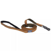 Coastal Pet K9 Explorer leash with reflective stitching for safer evening walks.