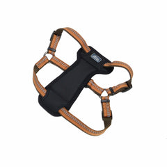 Coastal Pet K9 Explorer reflective-harness on dog boosts visibility during low-light walks.