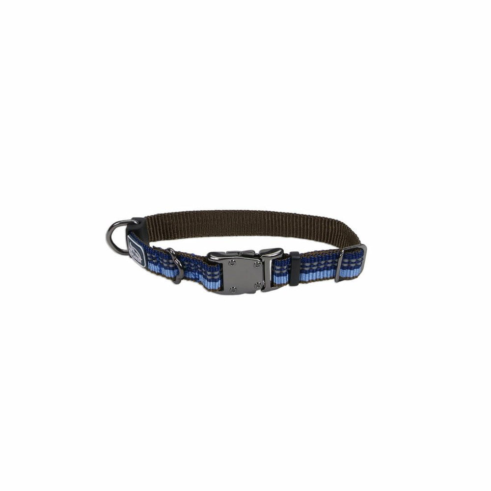 Coastal Pet K9 Explorer sapphire collar visible on daily walks for safety.