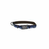 Coastal Pet K9 Explorer sapphire collar visible on daily walks for safety.