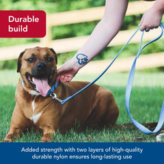 Coastal Pet leash-walk park scene highlights versatility for all dogs