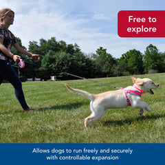 Coastal Pet Power Walker reflective stitching for nighttime visibility
