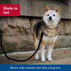 Coastal Pet Rope Dog Leash color stays bright through sunny adventures.