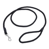Coastal Pet Rope Dog Leash soft braided nylon offers a comfortable grip for daily walks.
