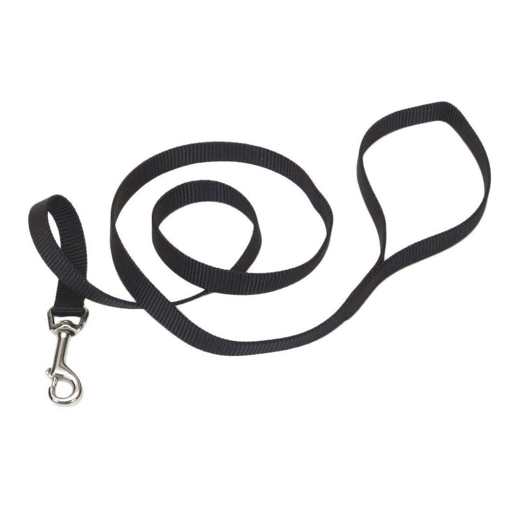 Coastal Pet Single-Ply Dog Leash closeup of sturdy stitching ensures durability.