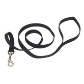 Coastal Pet Single-Ply Dog Leash closeup of sturdy stitching ensures durability.