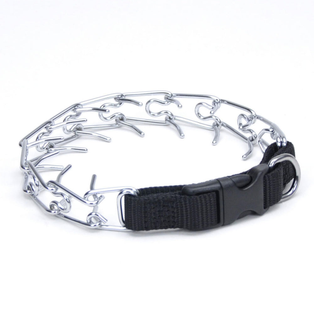 Coastal Pet Titan Easy-On Collar with Buckle in black shown for quick on/off training use