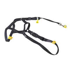 Coastal Pet Walk 'n Train head halter front view demonstrates gentle control for calmer walks