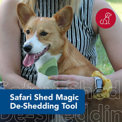 Coastal Safari Shed Magic long-hair coat detangler eases brushing