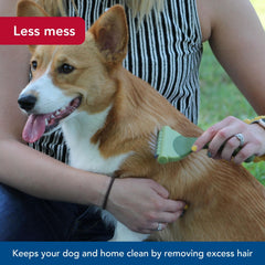 Coastal Safari Shed Magic smooth coat during grooming sessions