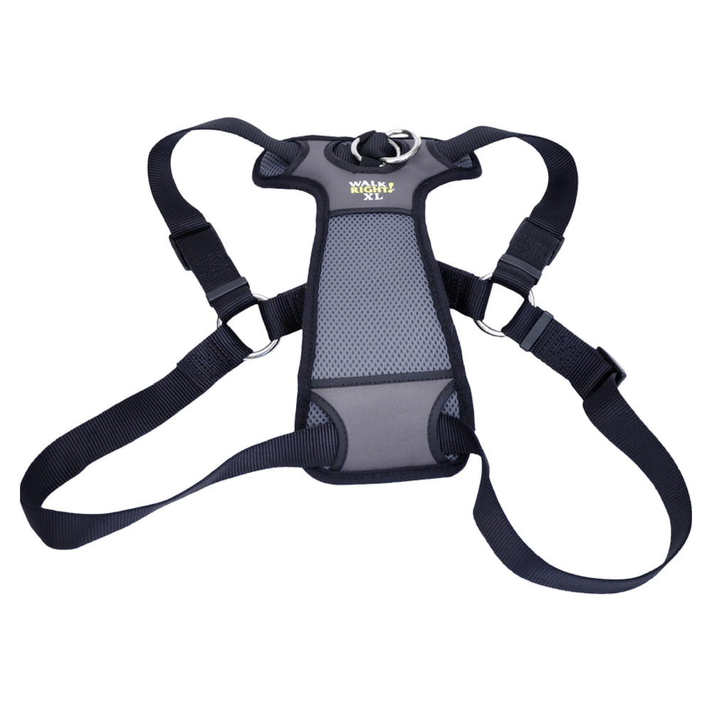 Coastal Walk Right front view harness with padded chest offering comfortable control.