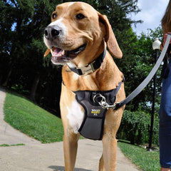 Coastal Walk Right side view harness showcasing dual-clip design for training versatility.