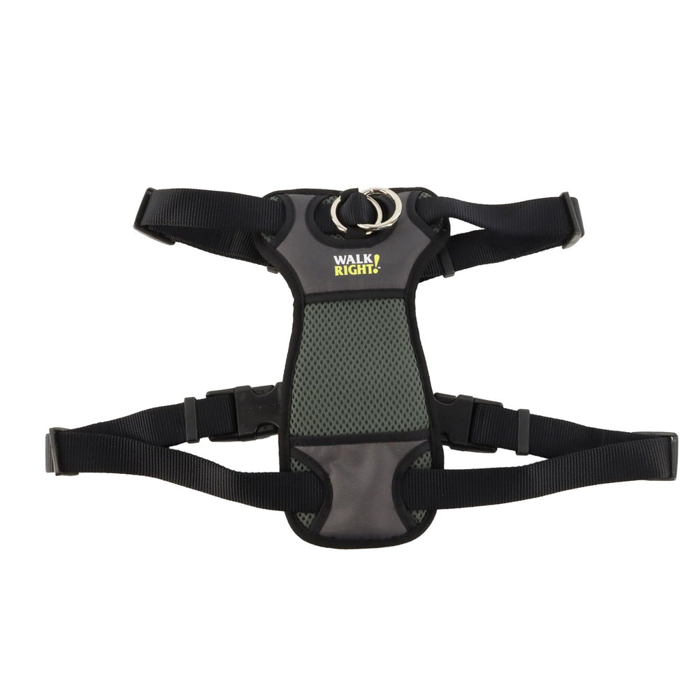 Coastal Walk Right Front-Connect Padded Harness front-connection enables no-pull training during walks.