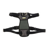 Coastal Walk Right Front-Connect Padded Harness front-connection enables no-pull training during walks.
