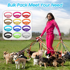 Cobee 12-color options displayed, ideal for color-coding multiple pets or styling.