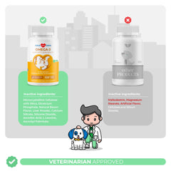 Coco and Luna dog heart health visual with essential fatty acids.