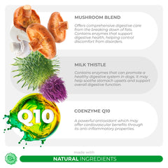Coco and Luna Mushroom Complex bottle ingredients panel for liver support