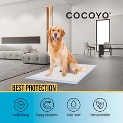 COCOYO training pads attractant layer in use supports faster house training.