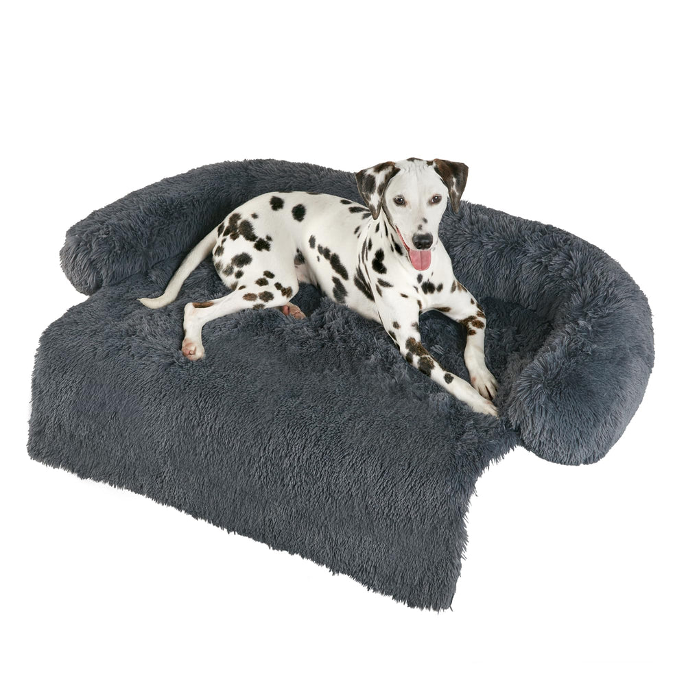 Codi calming dog bed on couch promotes relaxed naps for anxious dogs.