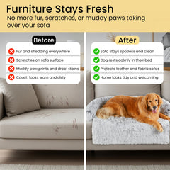 Codi bed with removable cover enables quick cleanup after shedding.