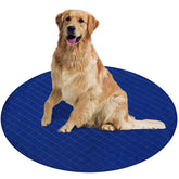 Coldwind Washable Pee Pad Round 48x48 soft polyester surface for comfortable training sessions.