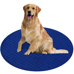 Coldwind Washable Pee Pad Round 48x48 soft polyester surface for comfortable training sessions.