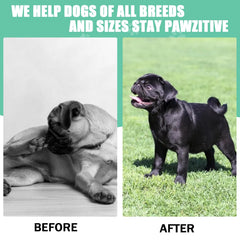 ColEaze dog-allergy-chews-colostrum packaging indicates immune-supporting ingredients.