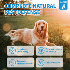 ColEaze flea and tick chews natural ingredients for dogs