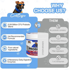 ColEaze Probiotics for Dogs Chews dog enjoying a tasty lamb-flavored bite.