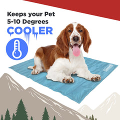 Coleman Comfort Cooling Pet Pad blue close-up of self-cooling surface
