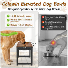 Colewin elevated dog bowls tilt angles provide ergonomic dining positions