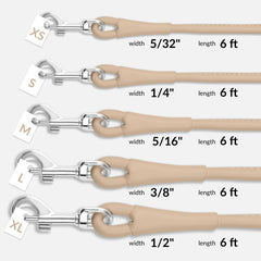 CollarDirect beige leather leash on a dog for versatile daily use