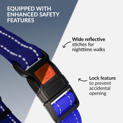 Collar Direct Martingale con ajuste 17-22 pulgadas para perros de tamaño grande a mediano.