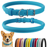 CollarDirect collar cuero enrollado azul claro para cuello de 11-14 pulgadas