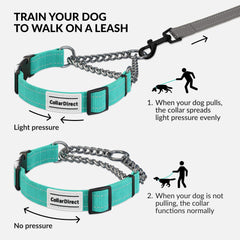 CollarDirect Martingale color verde menta para perros pequeños