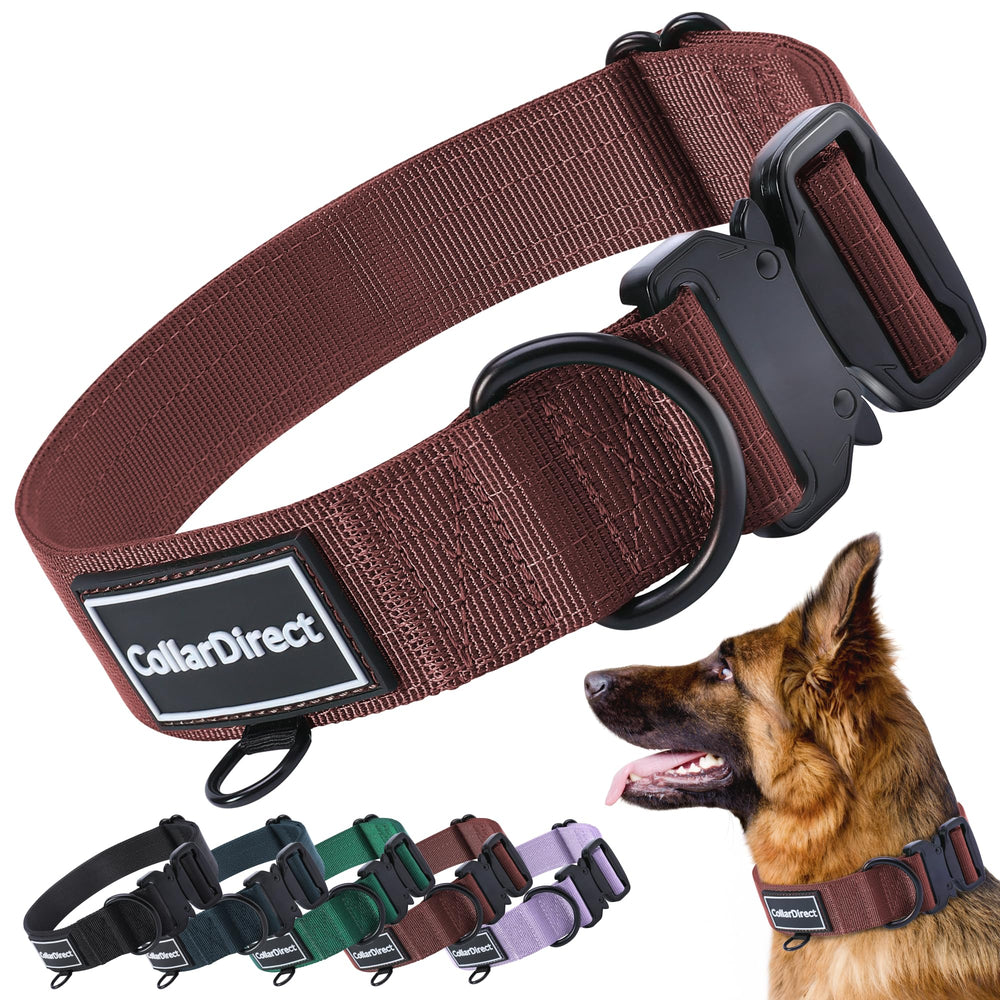 CollarDirect: correa de doble capa oxidada para perros activos y resistentes.