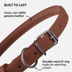 CollarDirect handmade genuine leather collar designed for durable daily wear