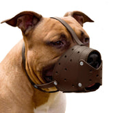 CollarDirect Leather Basket Dog Muzzle front view in brown with breathable design
