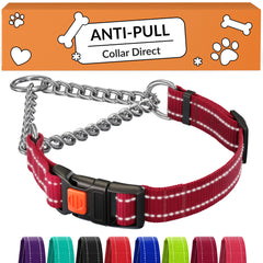 CollarDirect Martingale con cadena de acero inoxidable, ideal para perros activos.