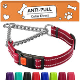 CollarDirect martingale con cadena de acero inoxidable, perfecto para perros robustos.