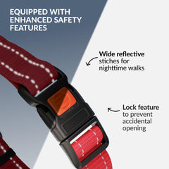 Collardirect martingale detalle reflectivo para seguridad nocturna durante paseos.